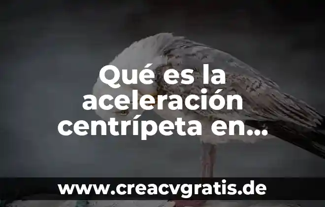 Qué es el cuerpo de aceleración de un vw a4 7 Qué es la aceleración centrípeta en física