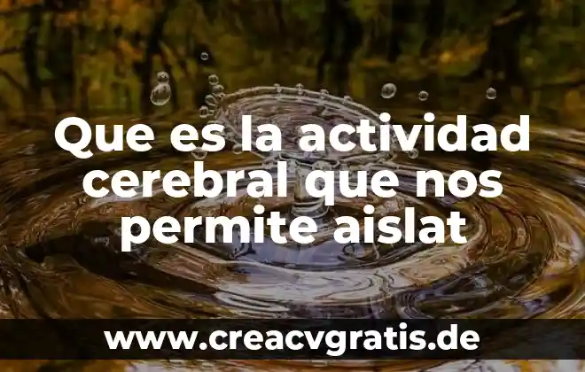 Qué es el agua para qué nos sirve 8 Que es la actividad cerebral que nos permite aislat
