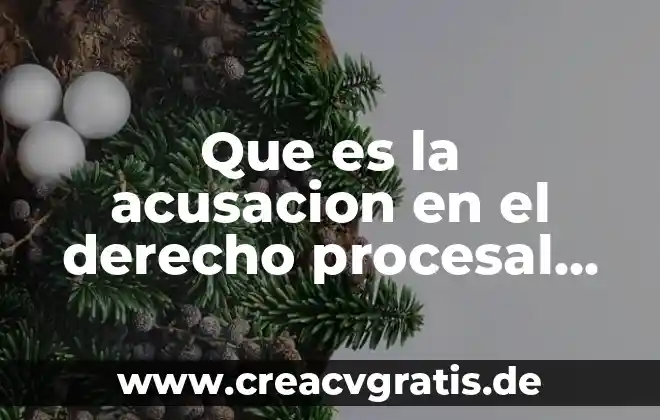Que es la analogia en el derecho penal 4 Que es la acusacion en el derecho procesal penal