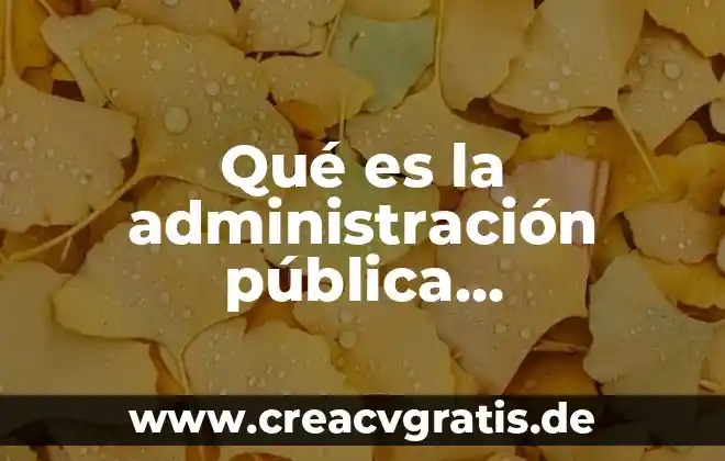 Que es un mensaje publicitario y ejemplo 8 Qué es la administración pública comparada
