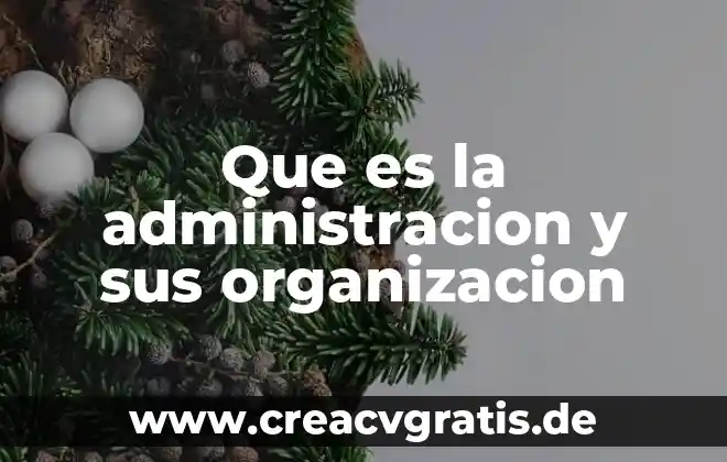 Que es un intermediario en una organizacion 5 Que es la administracion y sus organizacion