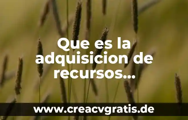 Qué es ingeniería en recursos hídricos 8 Que es la adquisicion de recursos materiales
