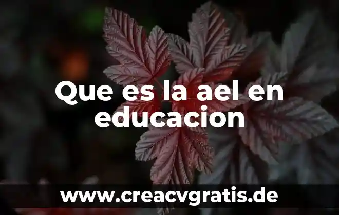 Que es el encuadre en la educacion 7 Que es la ael en educacion