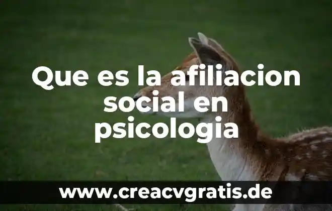 Qué es la atención neuro psicología 3 Que es la afiliacion social en psicologia