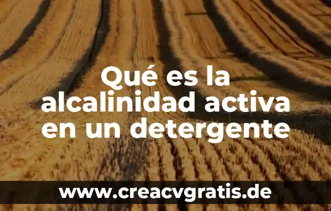 Que es un nombre de usuario en informatica 4 Qué es la alcalinidad activa en un detergente