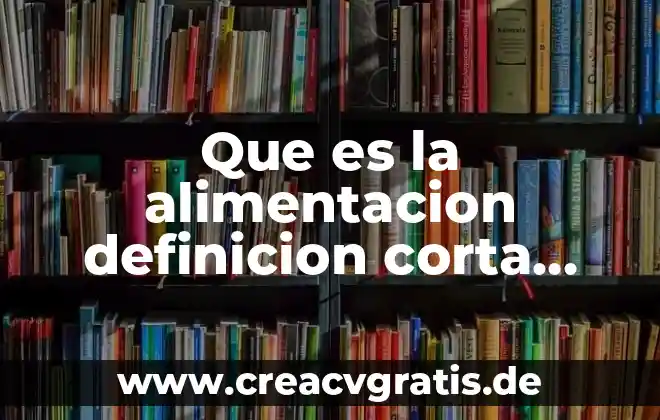 Qué es la casa de contratación de sevilla definición 4 Que es la alimentacion definicion corta para niños