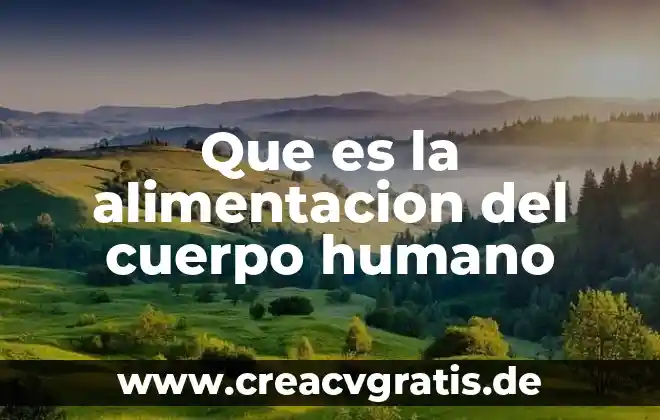 Qué es prolepsis en psicología 6 Que es la alimentacion del cuerpo humano