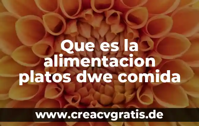 Entrada comida que es 3 Que es la alimentacion platos dwe comida