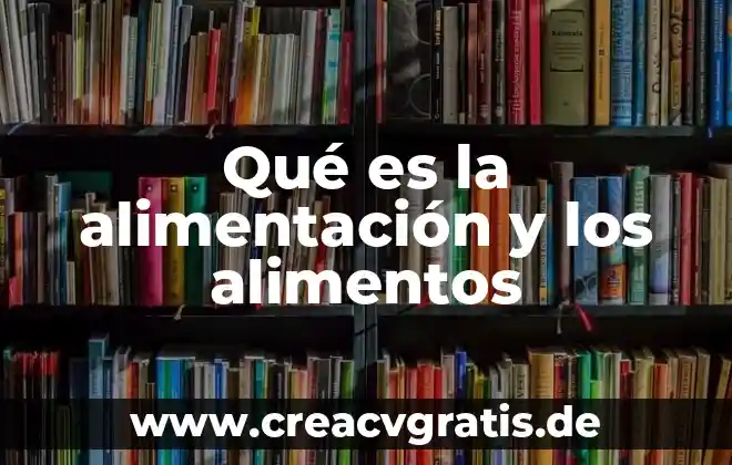Que es concretar significado 4 Qué es la alimentación y los alimentos