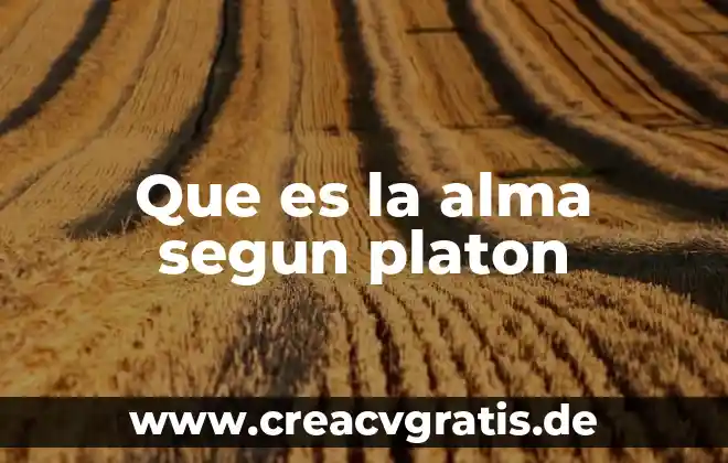 Qué es el alma del mundo según la filosofía 5 Que es la alma segun platon