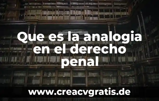 Qué es un sistema penal acusatorio 4 Que es la analogia en el derecho penal