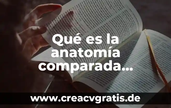 Qué es un punto de inserción anatomía 8 Qué es la anatomía comparada definición