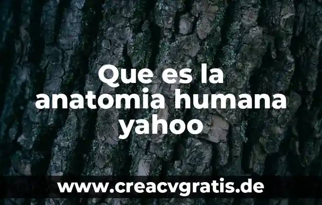 Qué es la anatomía comparada definición 5 Que es la anatomia humana yahoo
