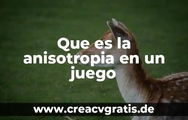 Que es el juego tochito bandera 6 Que es la anisotropia en un juego