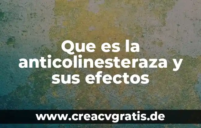 Menciona que es un factor de efectos aleatorios 3 Que es la anticolinesteraza y sus efectos