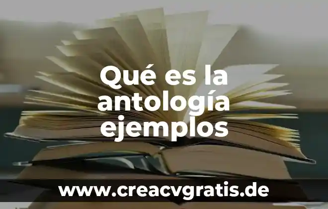 Que es el dinero ilegal ejemplos 3 Qué es la antología ejemplos