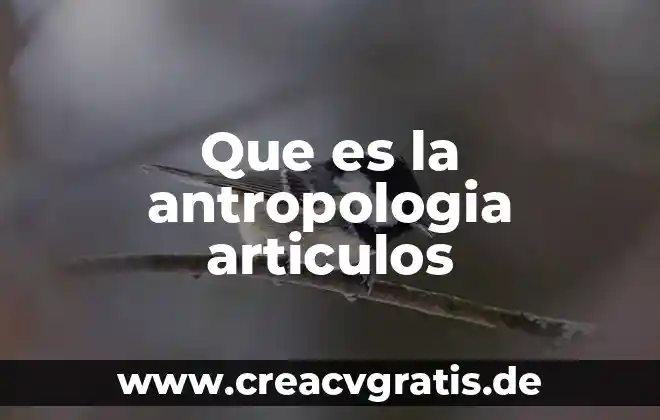 Que es la antropologia filosofica en filosofia 6 Que es la antropologia articulos