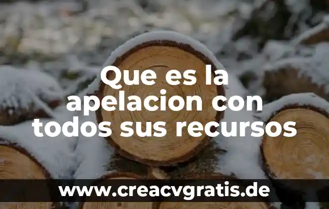 Que es el recurso de apelacion yahoo 3 Que es la apelacion con todos sus recursos