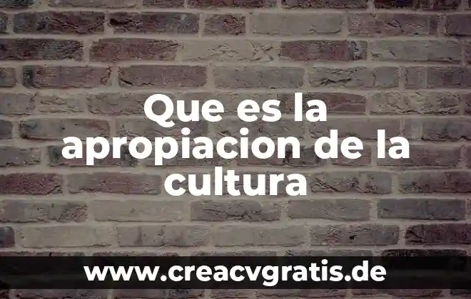 Que es el riesgo en el mercado de dinero 5 Que es la apropiacion de la cultura
