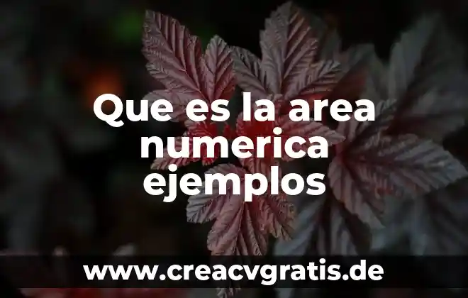 Qué es un patrón algebraico dentro de una sucesión numérica 4 Que es la area numerica ejemplos