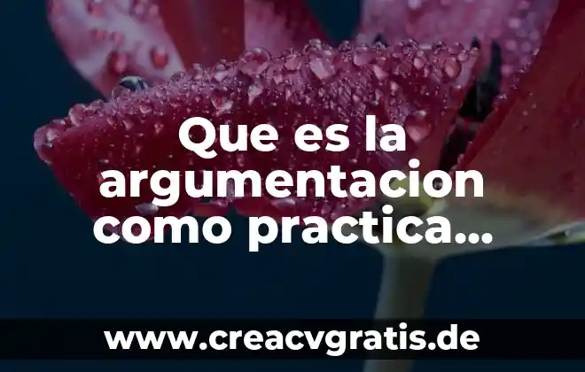 Que es insomne concepto 6 Que es la argumentacion como practica linguistica concepto