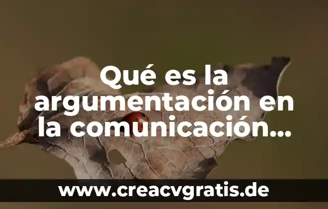 Que es la capacidad efectiva en pozo 6 Qué es la argumentación en la comunicación efectiva