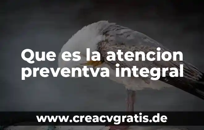 Que es una percepción integral en un archivo multimedia 5 Que es la atencion preventva integral