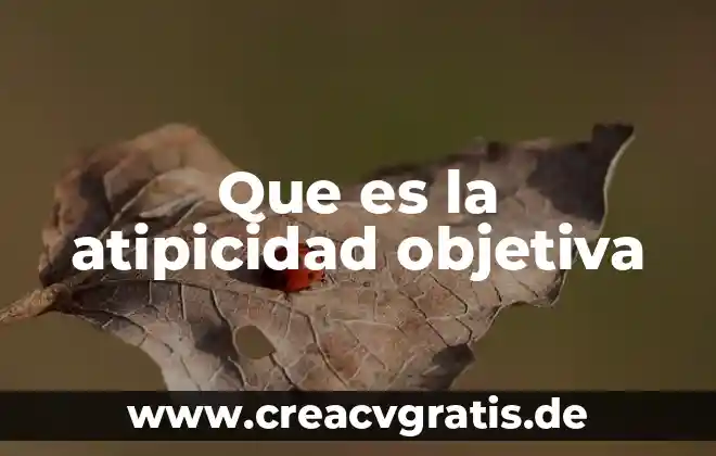 Que significa que es objetiva 5 Que es la atipicidad objetiva