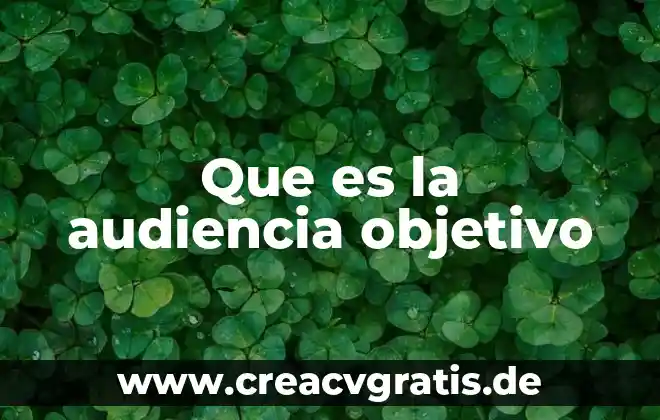 Que es un posgrado y su objetivo 3 Que es la audiencia objetivo