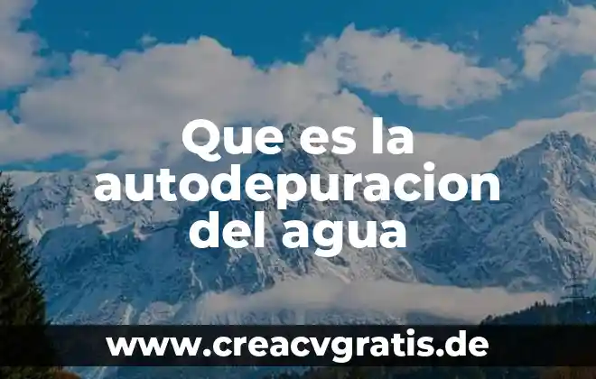 Almacenamiento de agua en cisternas de ferrocemento artesanal que es 3 Que es la autodepuracion del agua