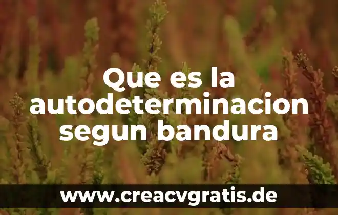Que es dormir segun virginia henderson 4 Que es la autodeterminacion segun bandura