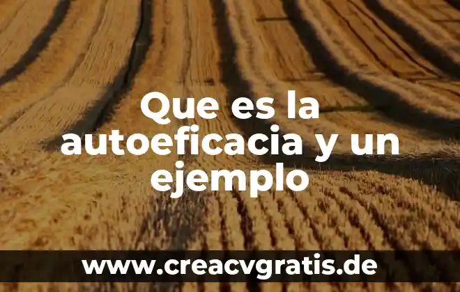 Que es un procedimiento documentado y ejemplo 7 Que es la autoeficacia y un ejemplo