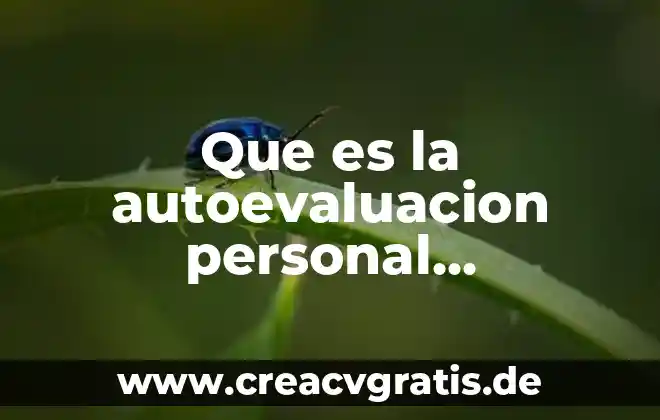 Que es una evaluacion y autoevaluacion 5 Que es la autoevaluacion personal desarrollo humano
