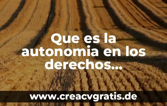 Qué es la autonomía y sus tipos 3 Que es la autonomia en los derechos humanos