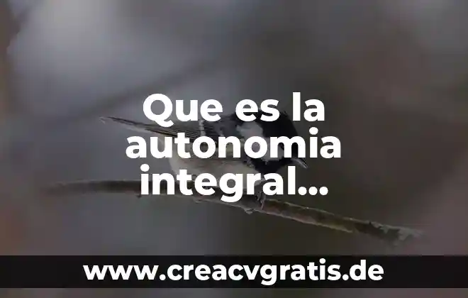 Que es una percepción integral en un archivo multimedia 4 Que es la autonomia integral autonomia del aprendizaje