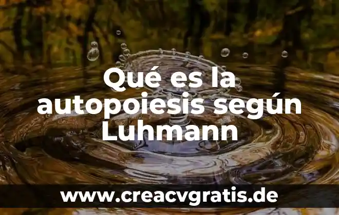 Que es la gripe segun las creencias populares 8 Qué es la autopoiesis según Luhmann