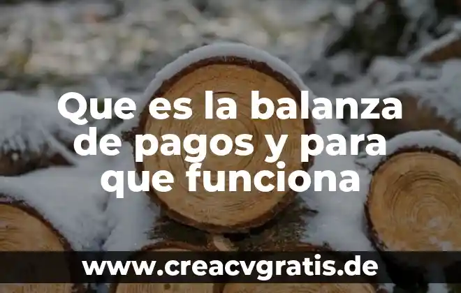 Que significa stp que es en pagos 4 Que es la balanza de pagos y para que funciona
