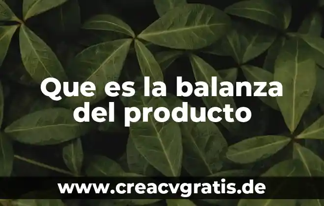 Que es mejor una balanza digital o mecanica 4 Que es la balanza del producto