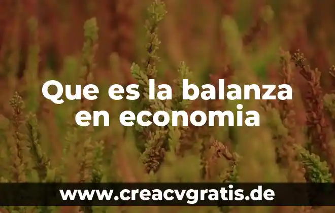 Que es mejor una balanza digital o mecanica 5 Que es la balanza en economia