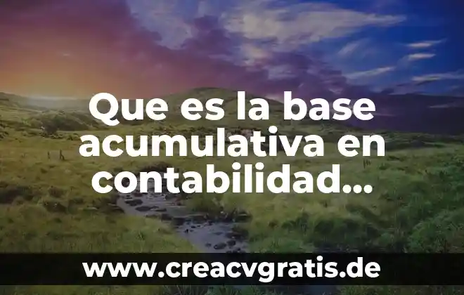 Qué es un programa gubernamental significa 8 Que es la base acumulativa en contabilidad gubernamental