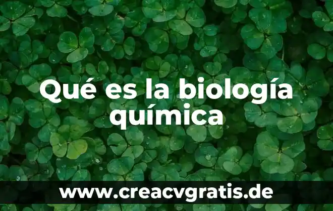 Que es el ddt en quimica significado 3 Qué es la biología química