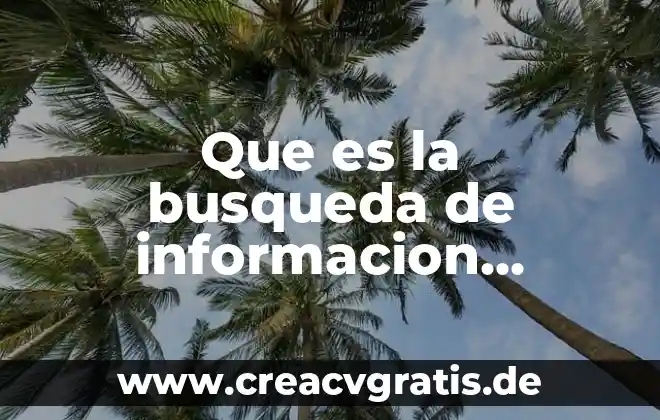 Que es la busqueda del ser y trascender 7 Que es la busqueda de informacion concepto