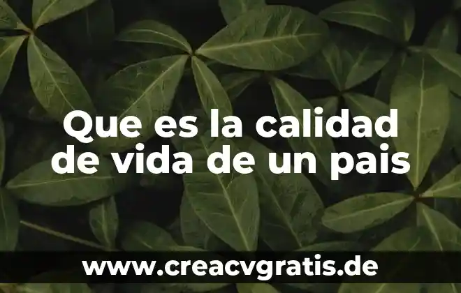 Qué es la visión para un proyecto de vida 8 Que es la calidad de vida de un pais