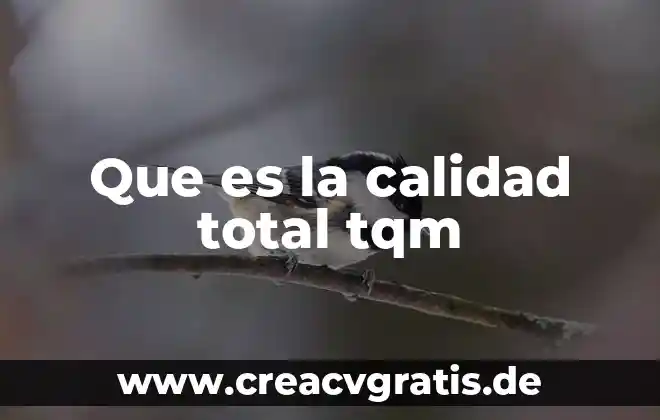 Que es un ec lipse total de sol 5 Que es la calidad total tqm