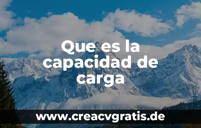 Carga moral que es 3 Que es la capacidad de carga