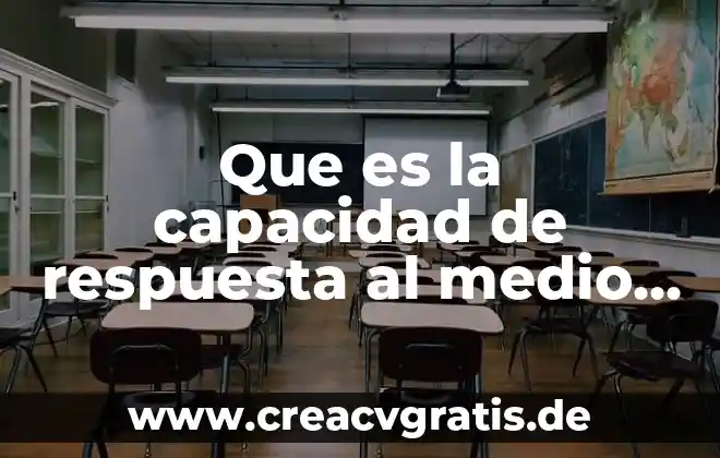 Que es un ambiente globalizado 3 Que es la capacidad de respuesta al medio ambiente