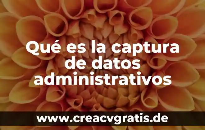Que es y tipos de informes administrativos 5 Qué es la captura de datos administrativos