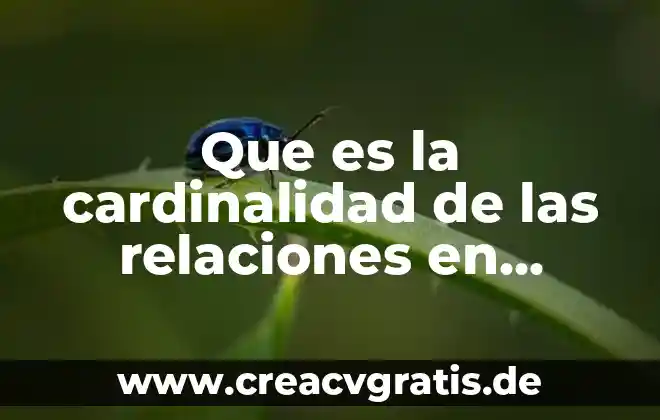 Que es subdominio informatica 7 Que es la cardinalidad de las relaciones en informatica