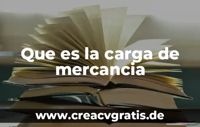 Carga moral que es 6 Que es la carga de mercancia