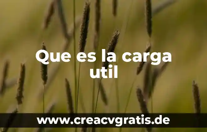 Que es una carga concentrada o puntual 8 Que es la carga util